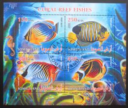 Poštové známky Somálsko 2017 Ryby Mi# N/N