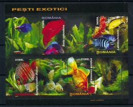 Poštové známky Rumunsko 2005 Ryby Mi# Block 351 Kat 10€