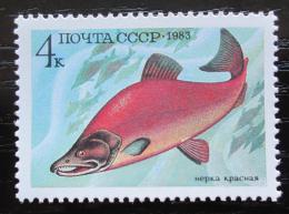Poštová známka SSSR 1983 Losos nerka Mi# 5294
