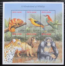 Poštové známky Sierra Leone 1999 Africká fauna Mi# 3235-40 Kat 9€