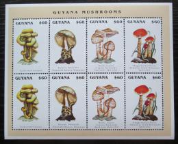 Poštové známky Guyana 1996 Huby Mi# 5534-37 Bogen Kat 14€