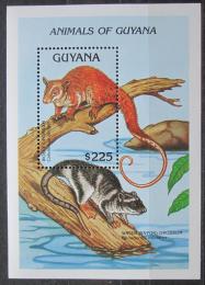 Poštová známka Guyana 1992 Caluromys laniger Mi# Block 203 Kat 10€