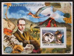 Poštová známka Komory 2009 Dinosaury a paleontologové Mi# Block 452 Kat 15€