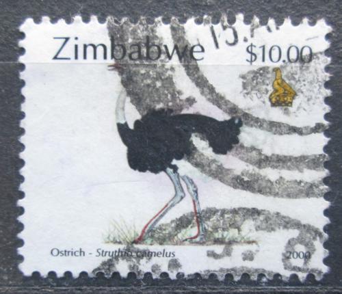 Poštová známka Zimbabwe 2000 Pštros dvouprstý Mi# 667