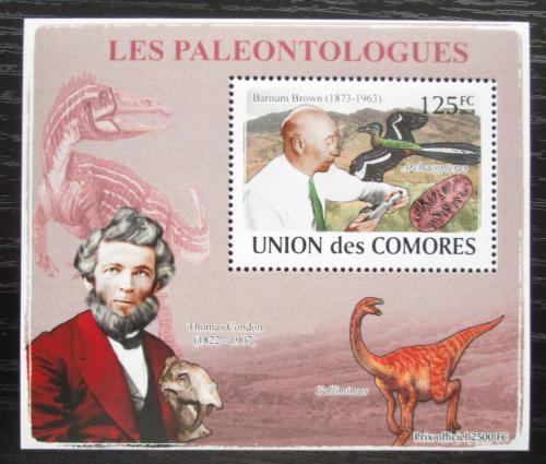 Poštová známka Komory 2009 Paleontológovia a dinosaury DELUXE Mi# 1960 Block