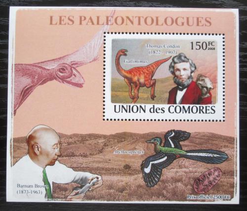 Poštová známka Komory 2009 Paleontológovia a dinosaury DELUXE Mi# 1961 Block 