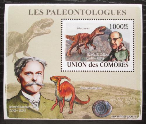 Poštová známka Komory 2009 Paleontológovia a dinosaury DELUXE Mi# 1965 Block