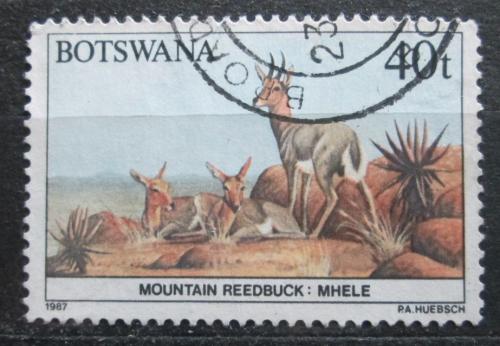 Poštová známka Botswana 1987 Bahnivec horský Mi# 417