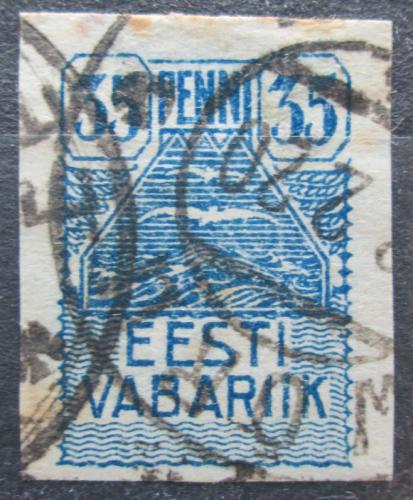 Poštová známka Estónsko 1919 Racek Mi# 10
