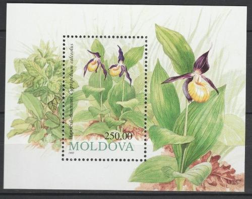 Poštová známka Moldavsko 1993 Kvety Mi# Block 4