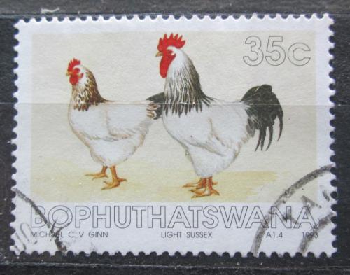 Poštová známka Bophuthatswana, JAR 1993 Slepice a kohout Mi# 290
