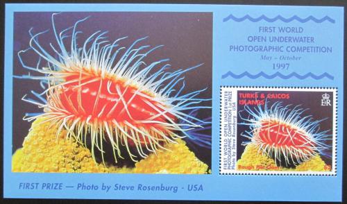 Poštová známka Turks a Caicos 1998 Morská fauna Mi# Block 177