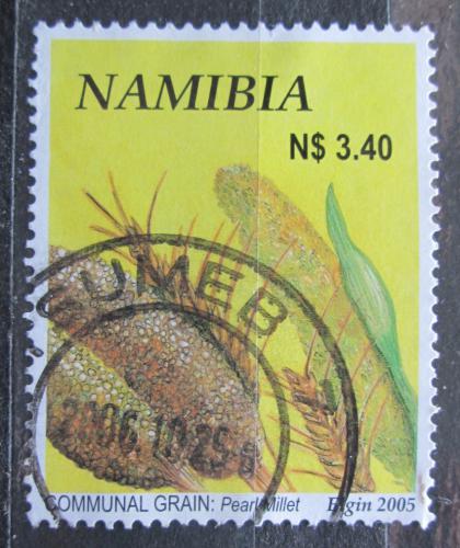 Poštová známka Namíbia 2005 Dochan klasnatý Mi# 1167