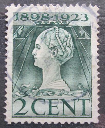 Poštová známka Holandsko 1923 Krá¾ovna Wilhelmina Mi# 123