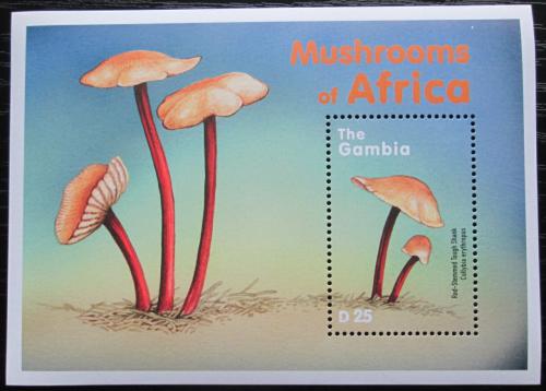 Poštová známka Gambia 2000 Huby Mi# Block 464