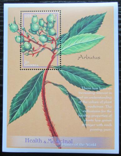 Poštová známka Gambia 2001 Planika obecná - léèivá rostlina Mi# Block 541