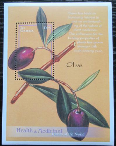 Poštová známka Gambia 2001 Olivovník evropský - léèivá rostlina Mi# Block 542