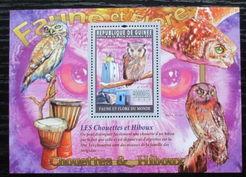 Poštová známka Guinea 2011 Sovy Mi# Block 1943 Kat 16€
