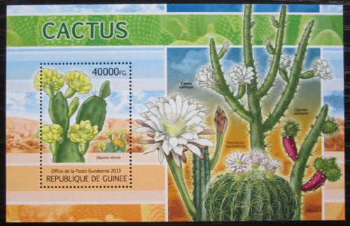 Poštová známka Guinea 2013 Kaktusy Mi# Block 2204 Kat 16€