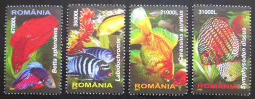 Poštové známky Rumunsko 2005 Ryby Mi# 5912-15 Kat 9.50€