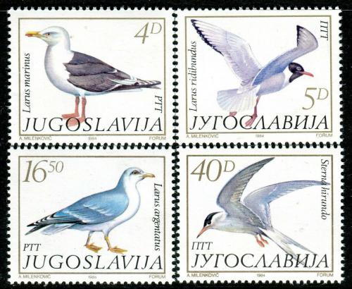 Poštové známky Juhoslávia 1984 Racci Mi# 2055-58 Kat 6€