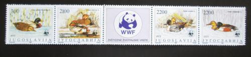 Poštové známky Juhoslávia 1989 Kaèice, WWF Mi# 2328-31 Kat 11€