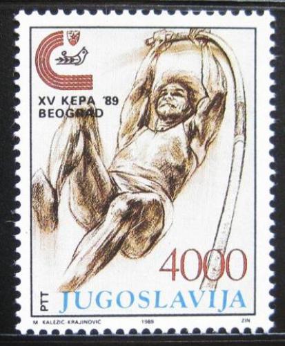 Poštová známka Juhoslávia 1989 ME v atletice, skok o tyèi Mi# 2344