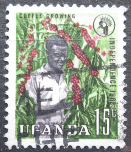 Poštová známka Uganda 1962 Sbìr kávy Mi# 75