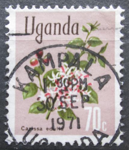 Poštová známka Uganda 1969 Carissa edulis Mi# 113