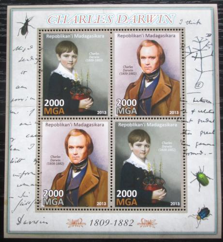 Poštové známky Madagaskar 2013 Charles Darwin Mi# N/N