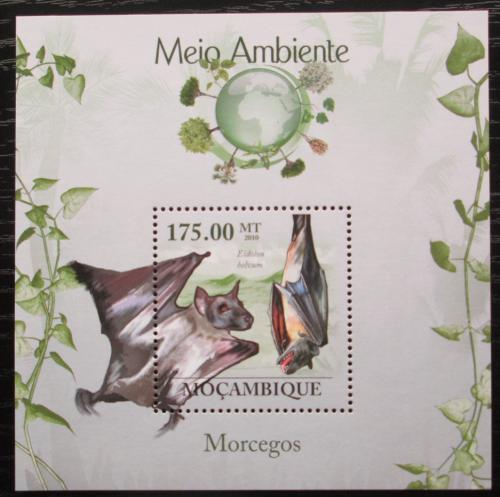 Poštová známka Mozambik 2010 Netopiere Mi# Block 303 Kat 10€