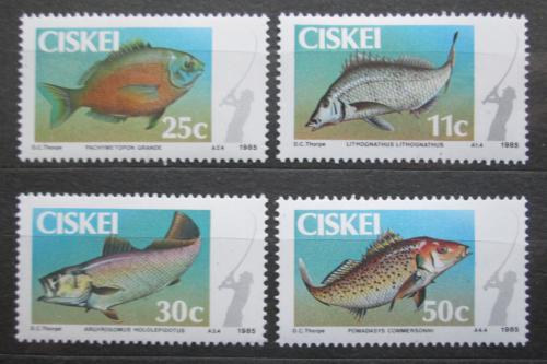 Poštové známky Ciskei, JAR 1985 Ryby Mi# 70-73