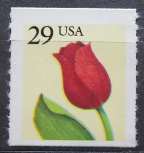 Poštová známka USA 1991 Tulipán Mi# 2125 L