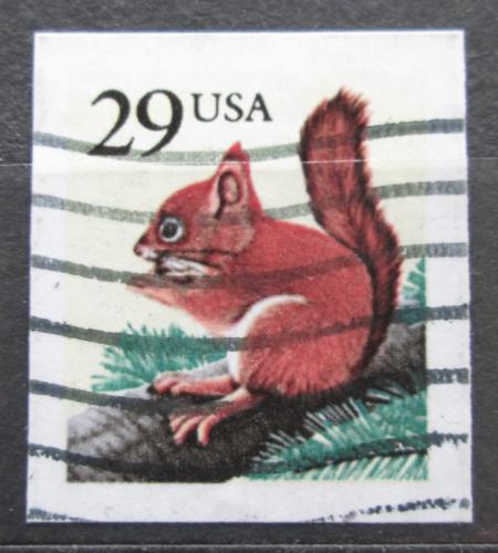 Poštová známka USA 1993 Veverka obecná Mi# 2385