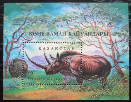 Poštová známka Kazachstan 1994 Nosorožec srstnatý Mi# Block 3