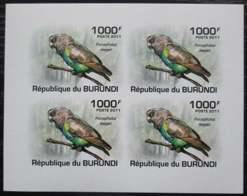 Poštové známky Burundi 2011 Papoušek žlutotemenný neperf. Mi# 1975 B Bogen