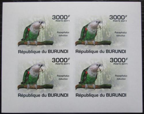 Poštové známky Burundi 2011 Papoušek kapský neperf. Mi# 1976 B Bogen