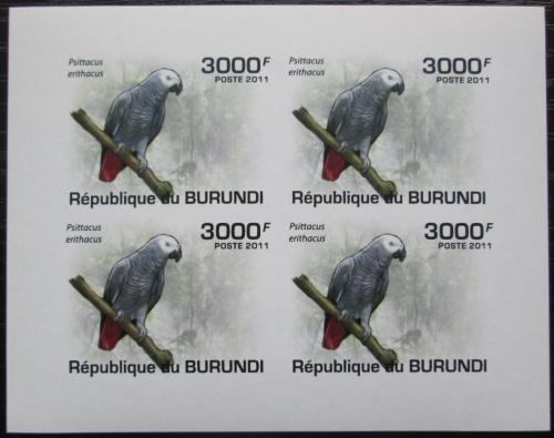 Poštové známky Burundi 2011 Papoušek šedý neperf. Mi# 1977 B Bogen