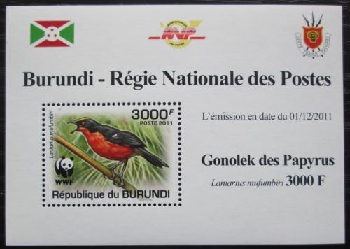 Poštová známka Burundi 2011 �uhýkovec papyrusový, WWF DELUXE Mi# 2128 b Block