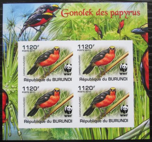 Poštové známky Burundi 2011 �uhýkovec papyrusový, WWF neperf. Mi# 2127 b Bogen