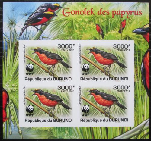 Poštové známky Burundi 2011 �uhýkovec papyrusový, WWF neperf. Mi# 2128 b Bogen