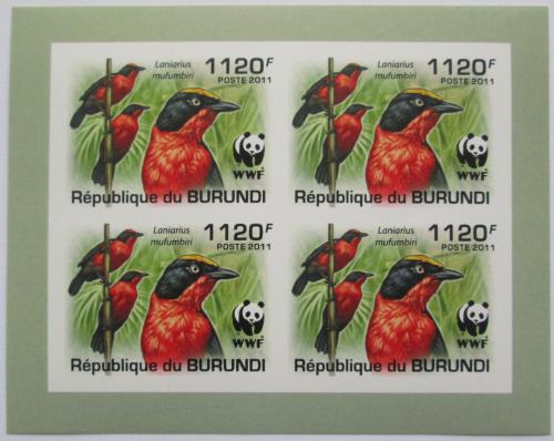 Poštové známky Burundi 2011 �uhýkovec papyrusový, WWF neperf. Mi# 2126 a Bogen