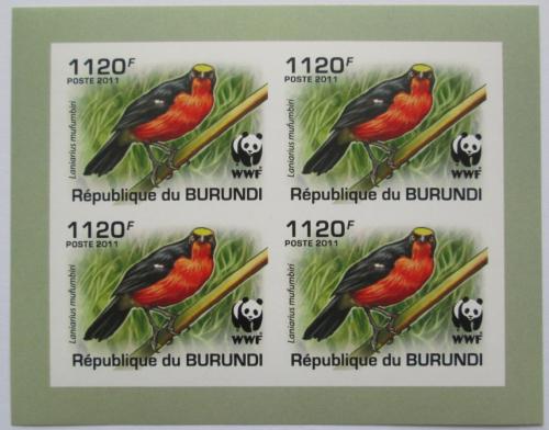 Poštové známky Burundi 2011 �uhýkovec papyrusový, WWF neperf. Mi# 2127 a Bogen