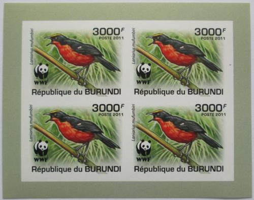 Poštové známky Burundi 2011 �uhýkovec papyrusový, WWF neperf. Mi# 2128 a Bogen 