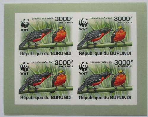 Poštové známky Burundi 2011 �uhýkovec papyrusový, WWF neperf. Mi# 2129 a Bogen