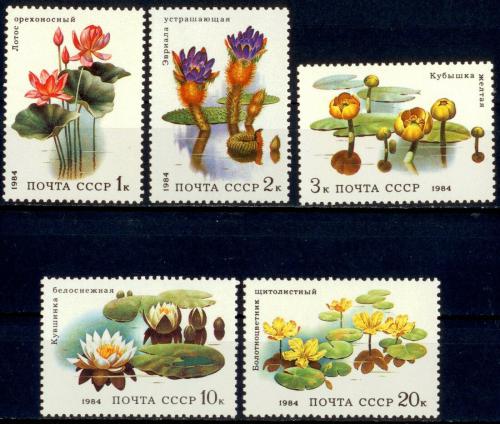 Poštové známky SSSR 1984 Vodní rostliny Mi# 5381-85