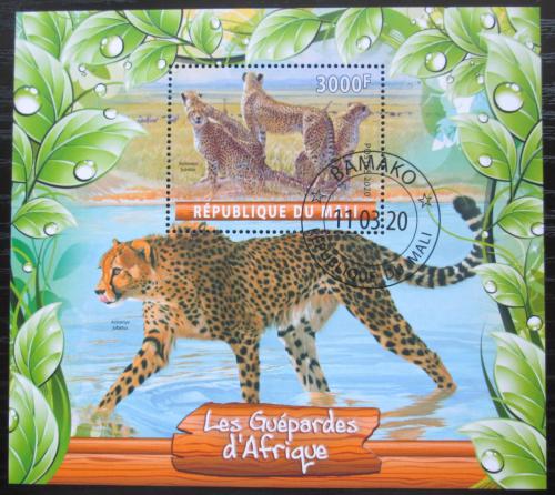 Poštová známka Mali 2020 Gepardi Mi# N/N