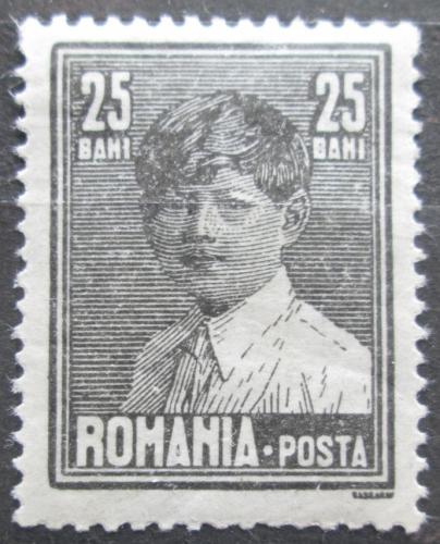 Poštová známka Rumunsko 1928 Krá¾ Michael I. Mi# 320