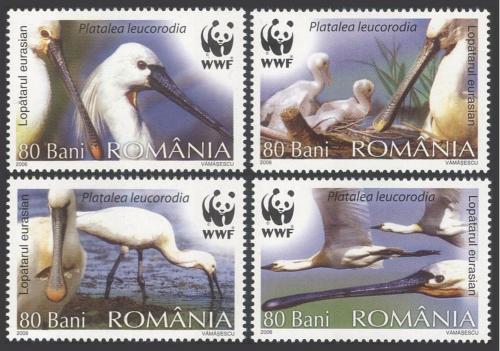 Poštové známky Rumunsko 2006 Kolpík bílý, WWF Mi# 6134-37