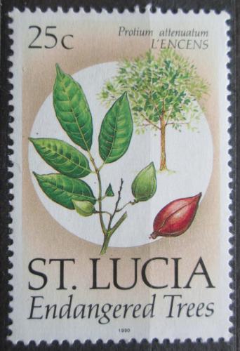 Poštová známka Svätá Lucia 1990 Protium attenuatum Mi# 964 I